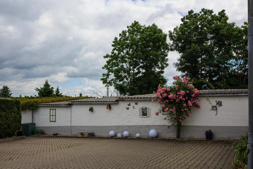 Hotel-Pension Am Rosarium Sangerhausen Exterior foto